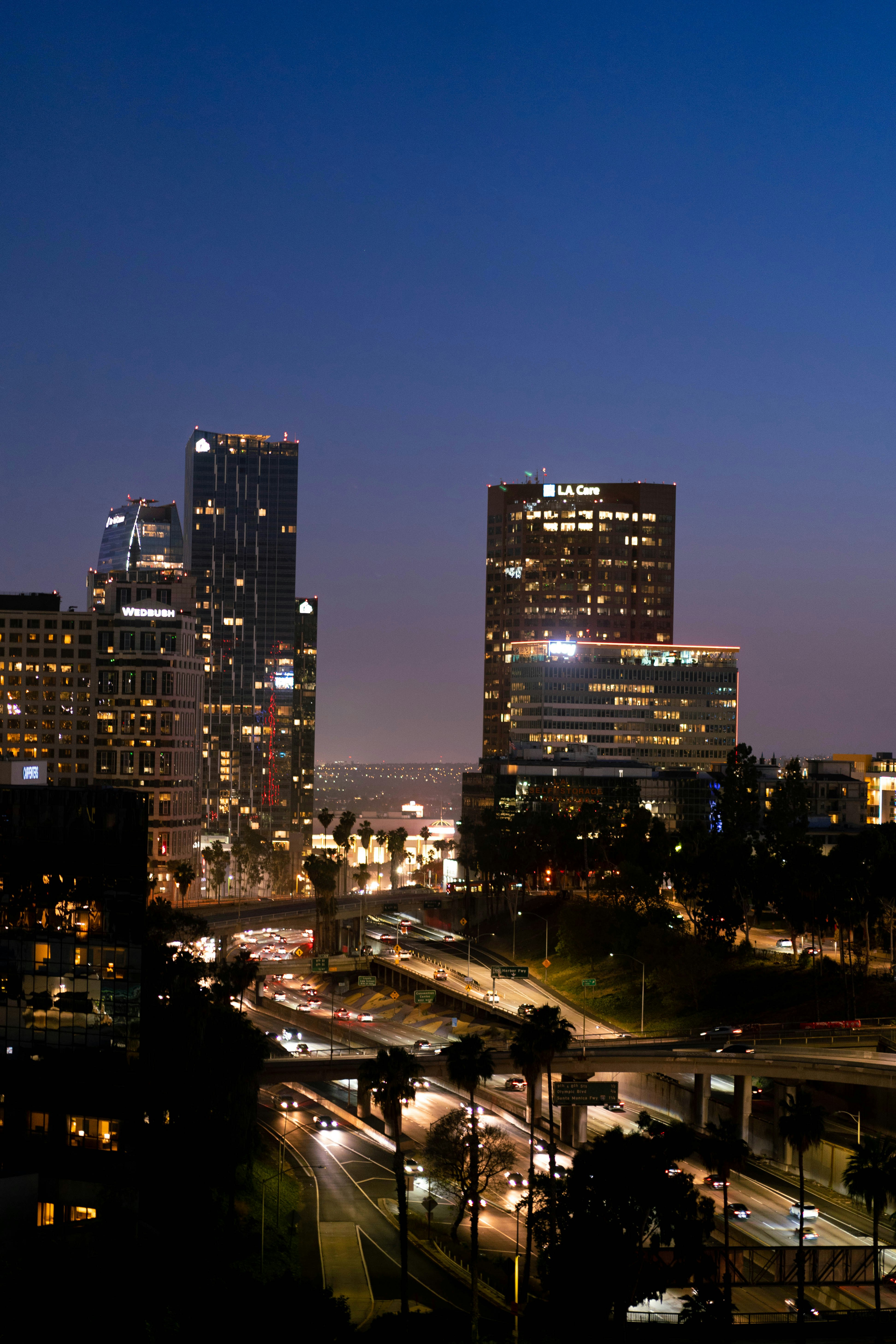 city buildings during night time